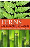 Ferns and Fern Allies of Canada