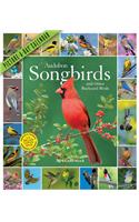 Audubon Songbirds and Other Backyard Birds Picture-A-Day Wall Calendar 2020