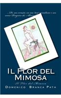 [[Il]] Flor del Mimosa