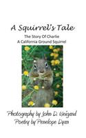 A Squirrel's tale, The Story Of Charlie, A California Ground Squirrel
