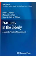 Fractures in the Elderly