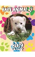 Baby Animals! 2019 Calendar