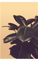 Introverted But Willing To Discuss Plants