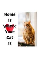 Home Is Where Your Cat Is