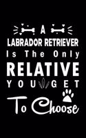 A Labrador Retriever is the only Relative you get to choose