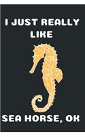 I Just Really Like Sea Horse Ok