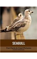 Seagull