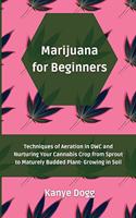 Marijuana for Beginners