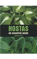 Hostas