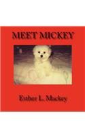 Meet Mickey