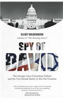 Spy of David