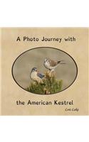 Photo Journey with the American Kestrel