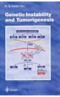 Genetic Instability and Tumorigenesis