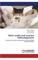 Nitric Oxide and Ovarian Folliculogenesis