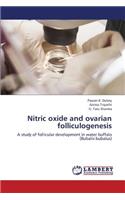 Nitric Oxide and Ovarian Folliculogenesis