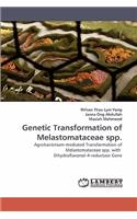 Genetic Transformation of Melastomataceae spp.