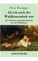 Als ich noch der Waldbauernbub war: Die schönsten Jugendgeschichten aus der Waldheimat(German)