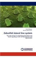 Zebrafish Lateral Line System
