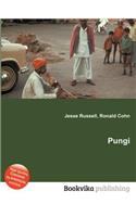 Pungi