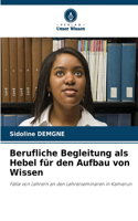 Berufliche Begleitung als Hebel für den Aufbau von Wissen