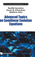 Advanced Topics on Semilinear Evolution Equations