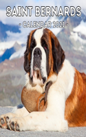 Saint Bernards