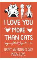 I Love You More Than Cats