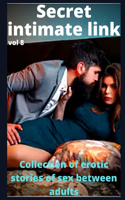Secret intimate link (vol 8): Collection of erotic stories of sex between adults