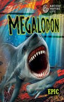 Megalodon