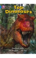 Top Dinosaurs Workbook