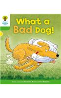Oxford Reading Tree: Level 2: Stories: What a Bad Dog!: (English)