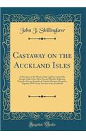 Castaway on the Auckland Isles