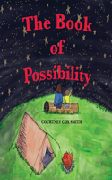 Book of Possibility