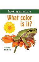 What Color Is It?
