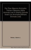 Por Qué Algunos Animales Tienen Caparazón (Why Animals Live in Shells)