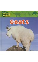 Goats