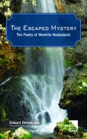 The Escaped Mystery