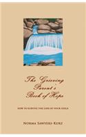 Grieving Parent's Book of Hope