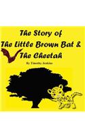 The Story of the Little Brown Bat & the Cheetah