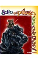 Sotto Un Palazzo C'e Un Cane Pazzo!