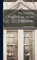 Pictorial Practical Fruit Growing