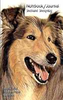 Notebook/Journal Shetland Sheepdog: Journal Ruled - 150 Blank Pages - 6x9 Inches