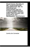 Illustriertes Handbuch der Laubholzkunde