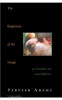 The Emptiness of the Image
