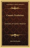 Cosmic Evolution