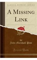 A Missing Link (Classic Reprint)