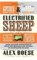 Electrified Sheep