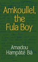 Amkoullel, the Fula Boy