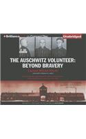 Auschwitz Volunteer