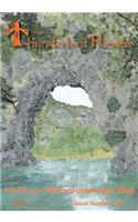 Thunderbird Review Issue Two